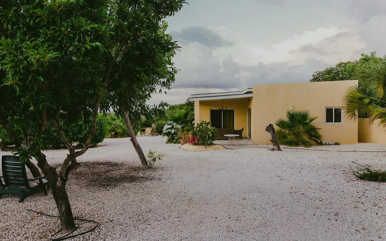 Отель Hidden Garden Aruba Babijn Аруба